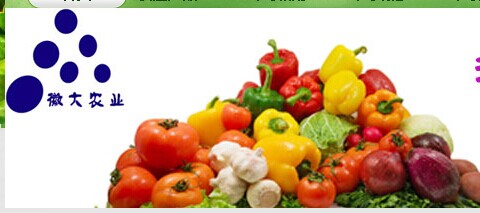 ? 安徽徽大農業有限公司